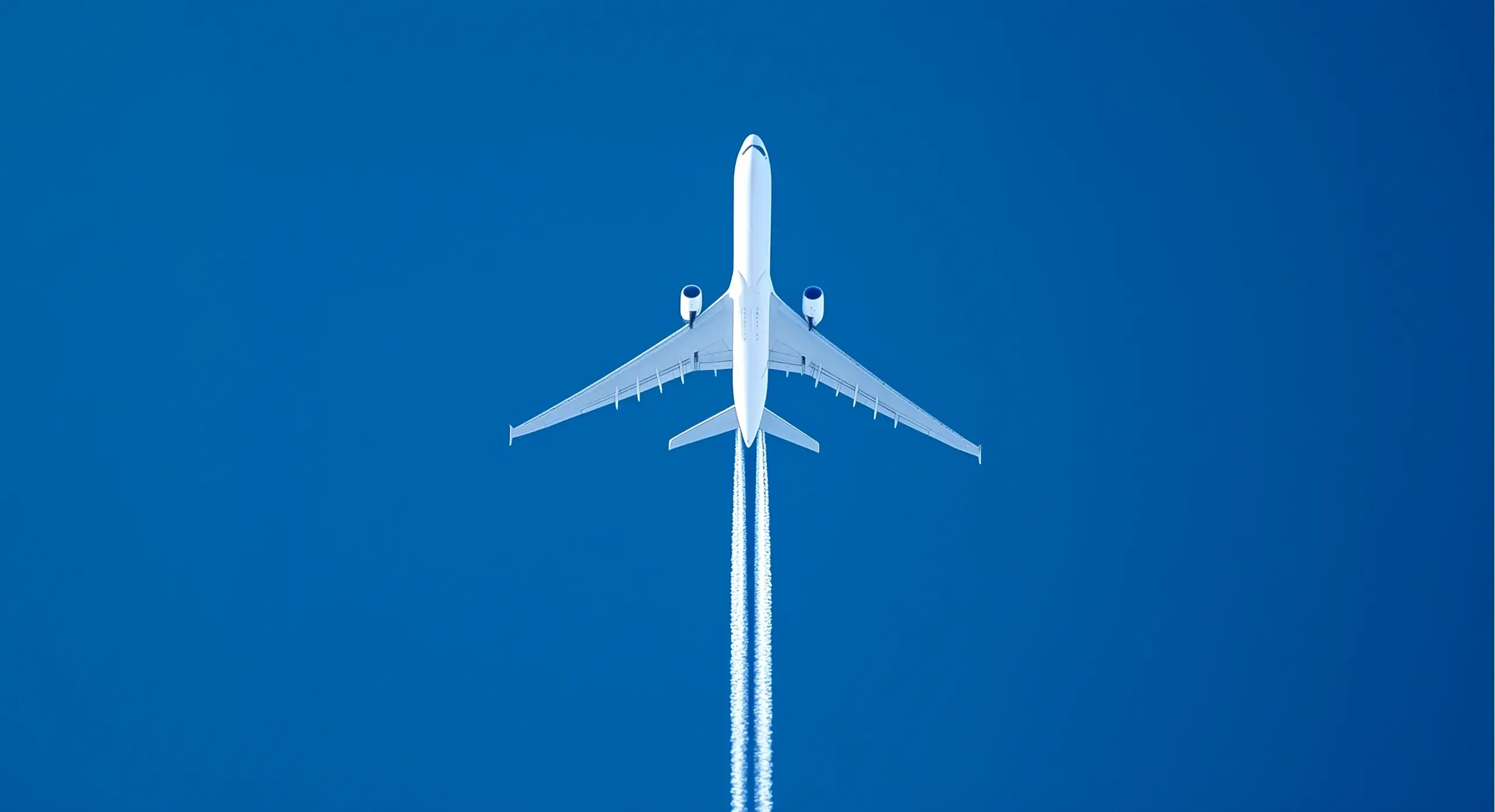 Airplane in the sky